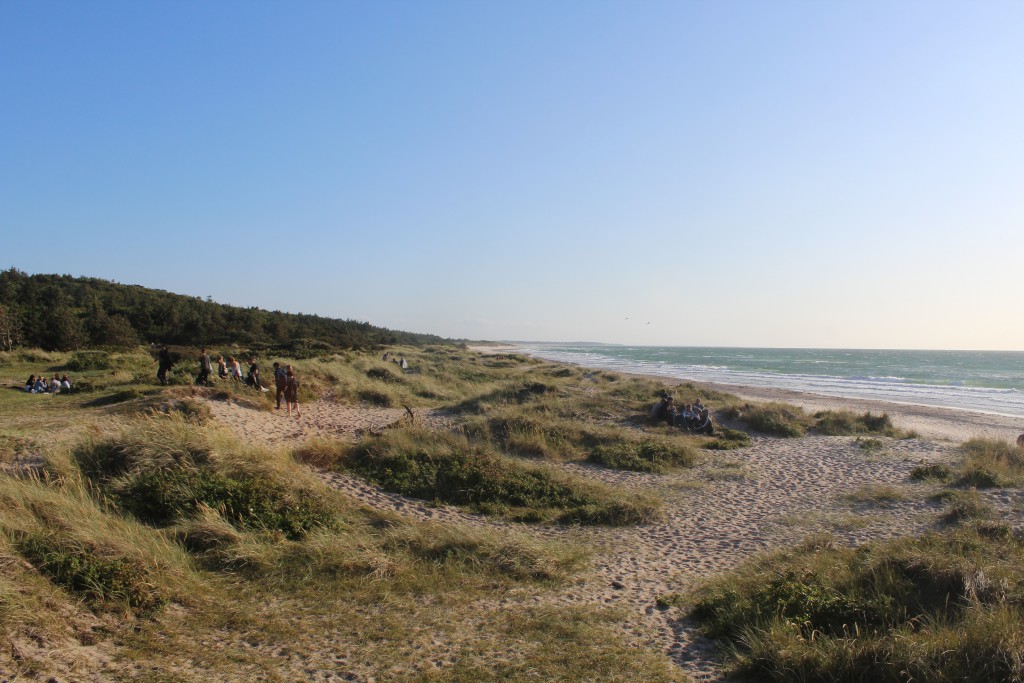 Tisvildeleje Strand, uge 29, 2015. Der hygges i klitterne i læsiden for den kraftige blæst fra Kattegat. Foto i retning vest mod Tisvilde Hegn og Liseleje den 18. juli mellem kl. 19-20 af Erik K Abrahamsen