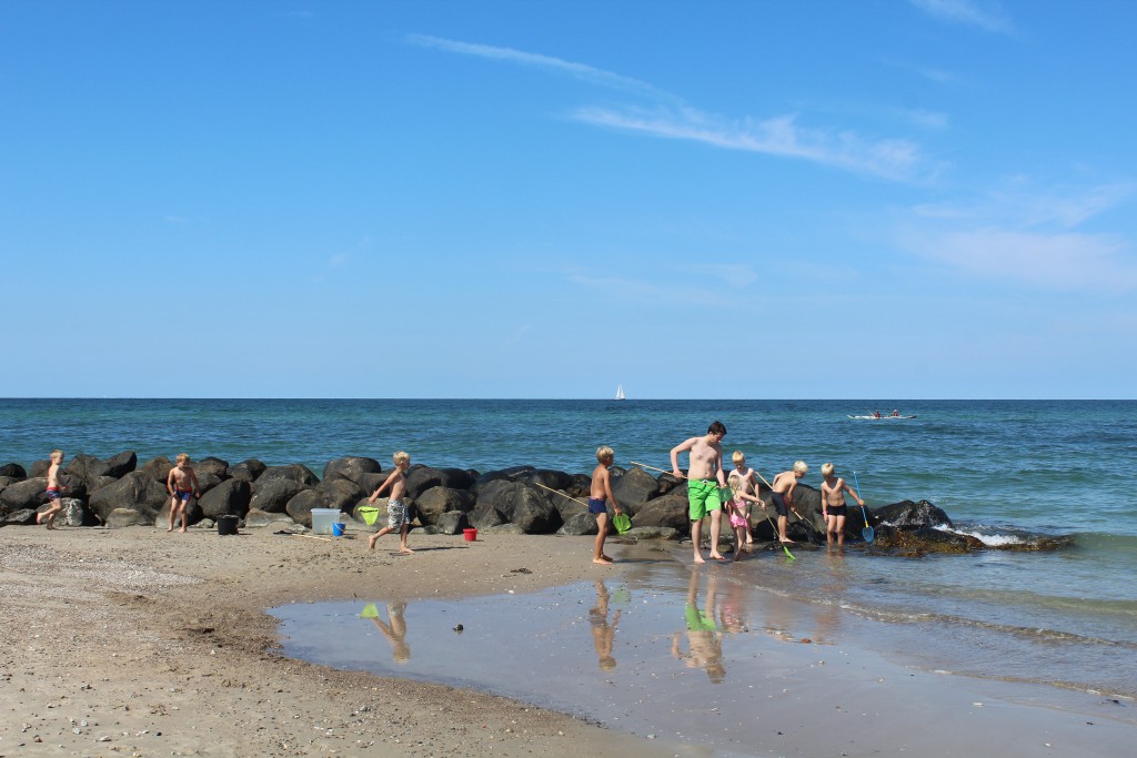 Leg omkring bølgebryder ud for Liseleje Strand. Foto i retning nord ud over Kattegat den 9. august 2015 af Erik K Abrahamsen