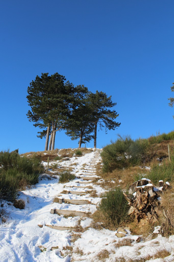 Tibirke Hills. Public path into Tibirke Hills. Photo in direction north 5. february 2015 by Erik K Abrahamse