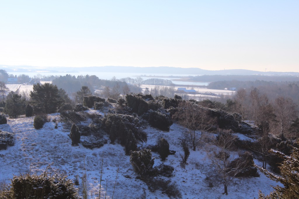 Tibirke Hill. View in direcrio southwest to Arrsoe lake. Photo 5. february by erik K Abrahamsen.