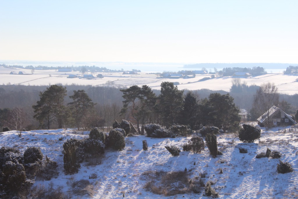 Tibirke Hills. Photo in direction southwest to Arresoe Lake in horizon. Photo 5. february 2015 by Erik K Abrahamsen.