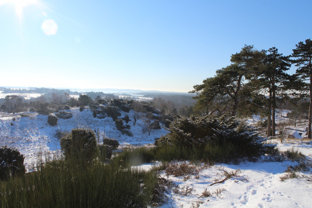 Tibirke Hills. View in direction west to Arresoe Lake. Photo 5. february 2015 by Erik K Abrahamsen