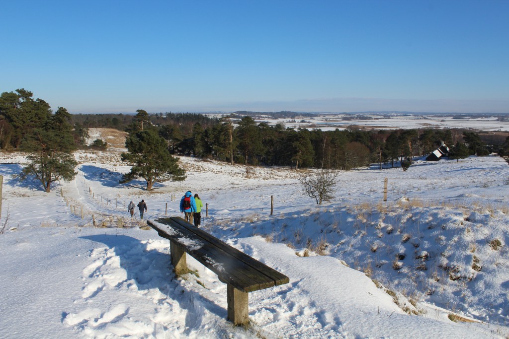 Tibirke Hills. Viewpoint "Udsigten" - 57 meter above sea level. Photo in direction east 5. february 2015 by Erik K Abrahamsen.