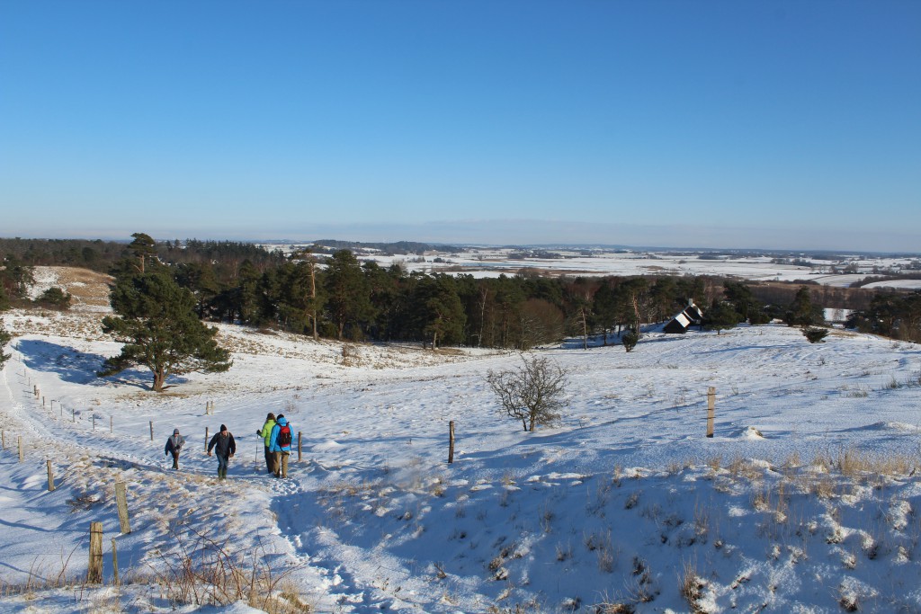 Tibirke Hills. Viewpoint "Udsigten" - 57 meter above sea level. View in direction east 5. february 2015 by Erik K Abrahamsen.