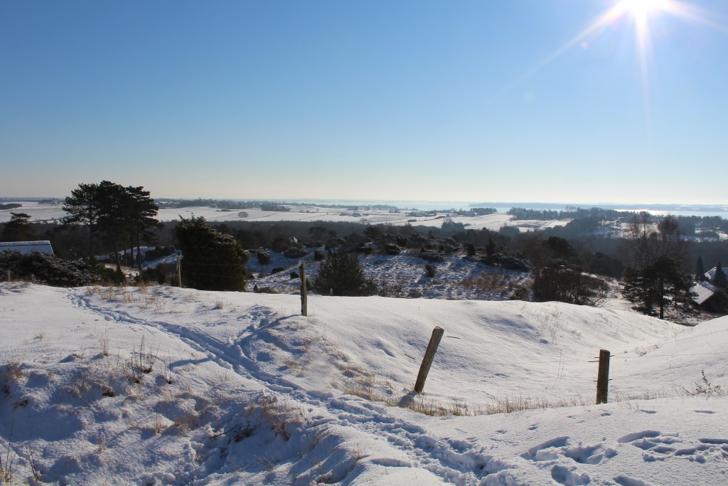 Tbirke Hills. Viewpoint "Udsigten". View in direction southwest to Arrsoe lake 5. february 2015 by Erik K Abrahamsen