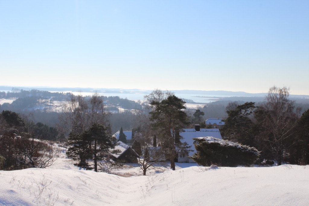 Tibirke Hills. Viewpoint "Udsigten". View in direction west to Arrsoe Lake. Photo 5. bebruary 2015 2015 by Erik K Abrahamsen.