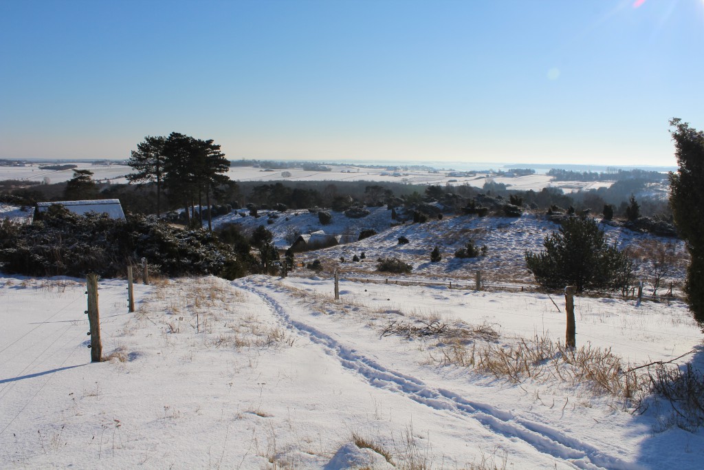 Tibirke Hills. Public path to viewpoint "Udsigten" - 57 meter above sea level. Photo 5. february 2015 by Erik K Abrahamsen.