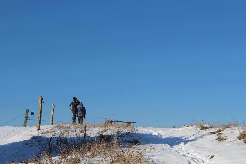 Tibirke Hills. Viewpoint "Udsigten" - 57 meter above sea level. Phot in direction north 5. february 2015 by Erik K Abrahamsen.