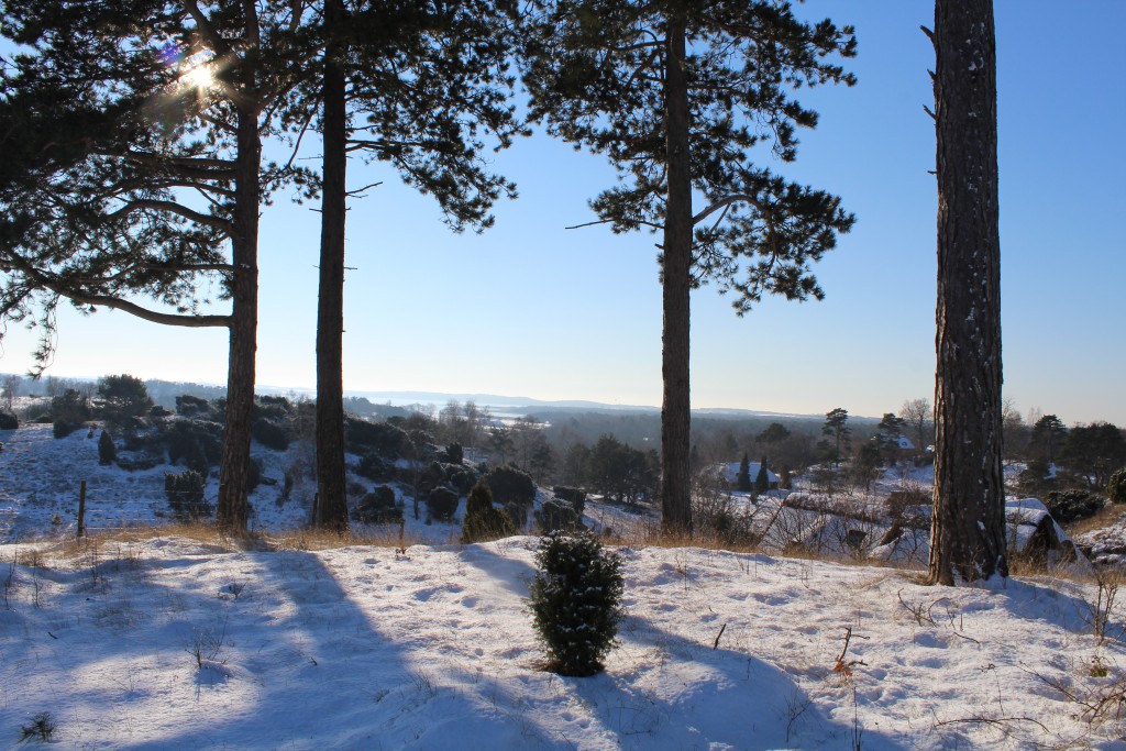 Tibirke Hill´s. View in direction wet to Arrelake. Photo 5. february 2015 by Erik K Abrahamsen