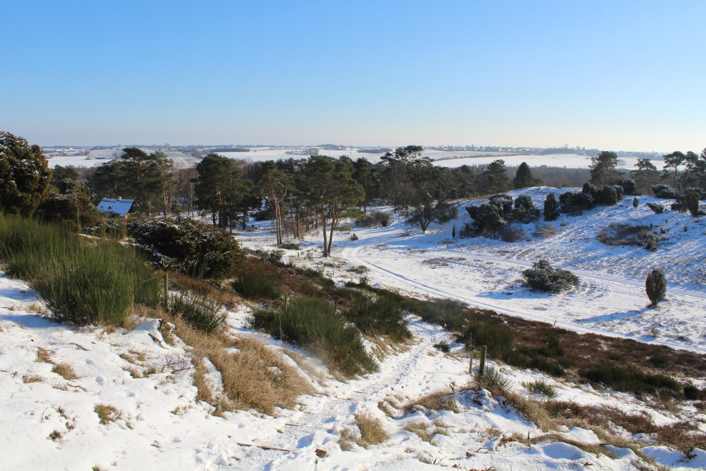 Tibirke Hills. The public path which leads down to main road Baekkebrovej. Photo 5. februar 2015 by Erik K Abrahamsen