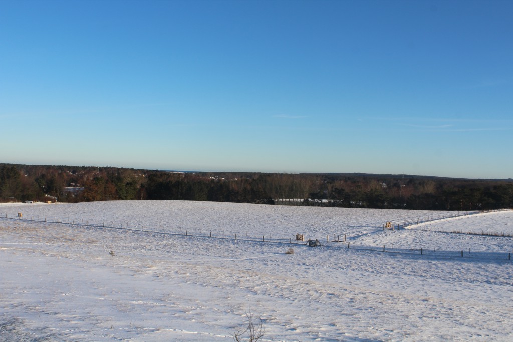 Melby, Seven Highs (Syv Høje). View in direction east from top of burial mounds to Asserbo, Tisvilde Hegn and Kattegat Coast in horizon. Photo by Erik K Abrahamsen