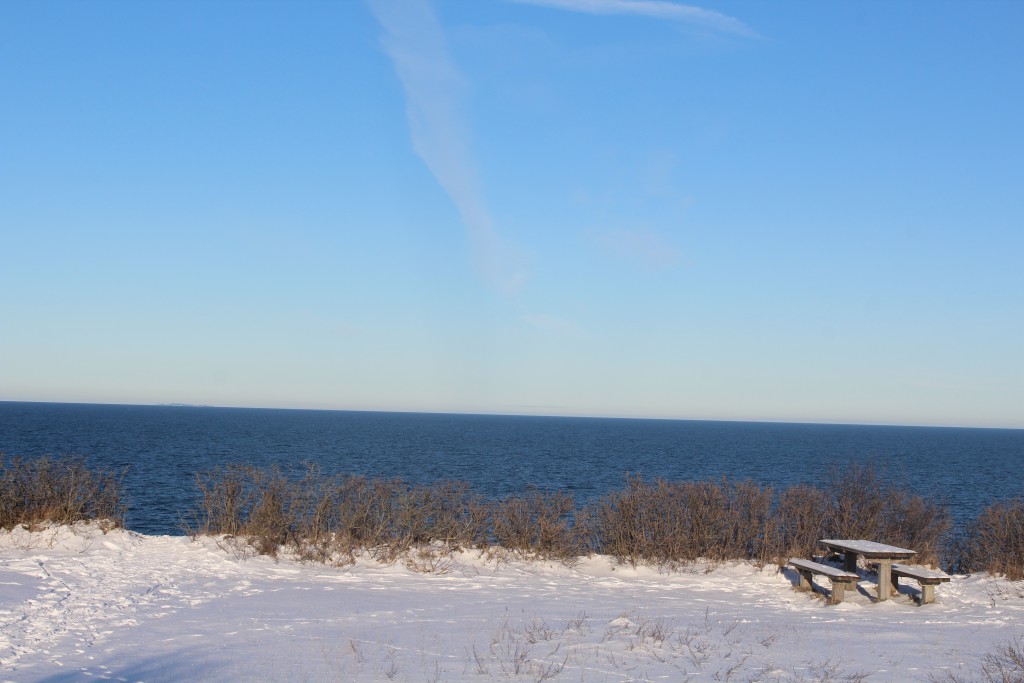 HYllingeberg Cliff. View in direction no