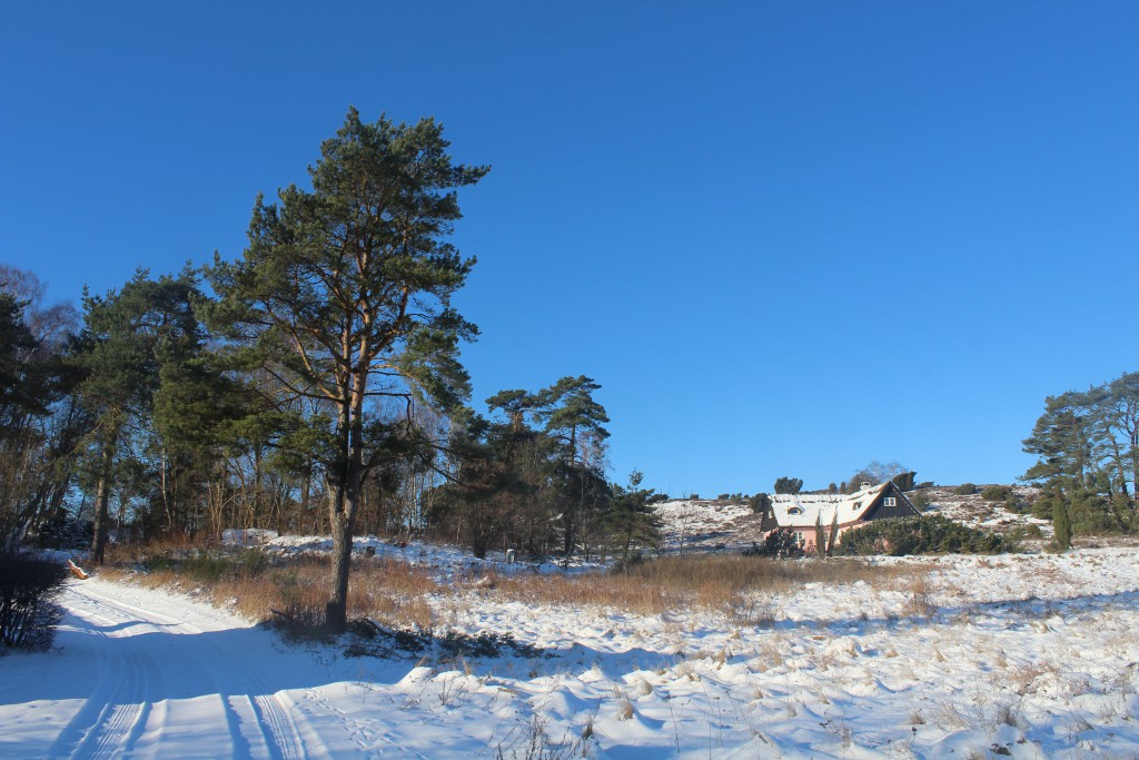 Tibieke Hills (Tibirke Bakker)