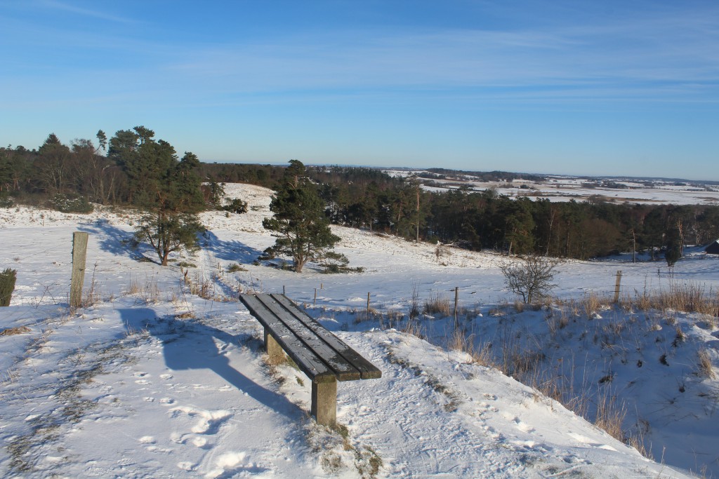 View from highest point "UDSIGTEN" - 