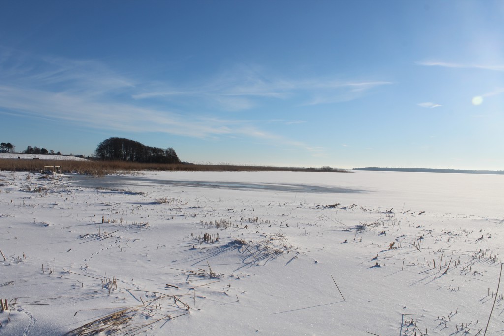 Arresø - view in direction south with Arrenæs rih