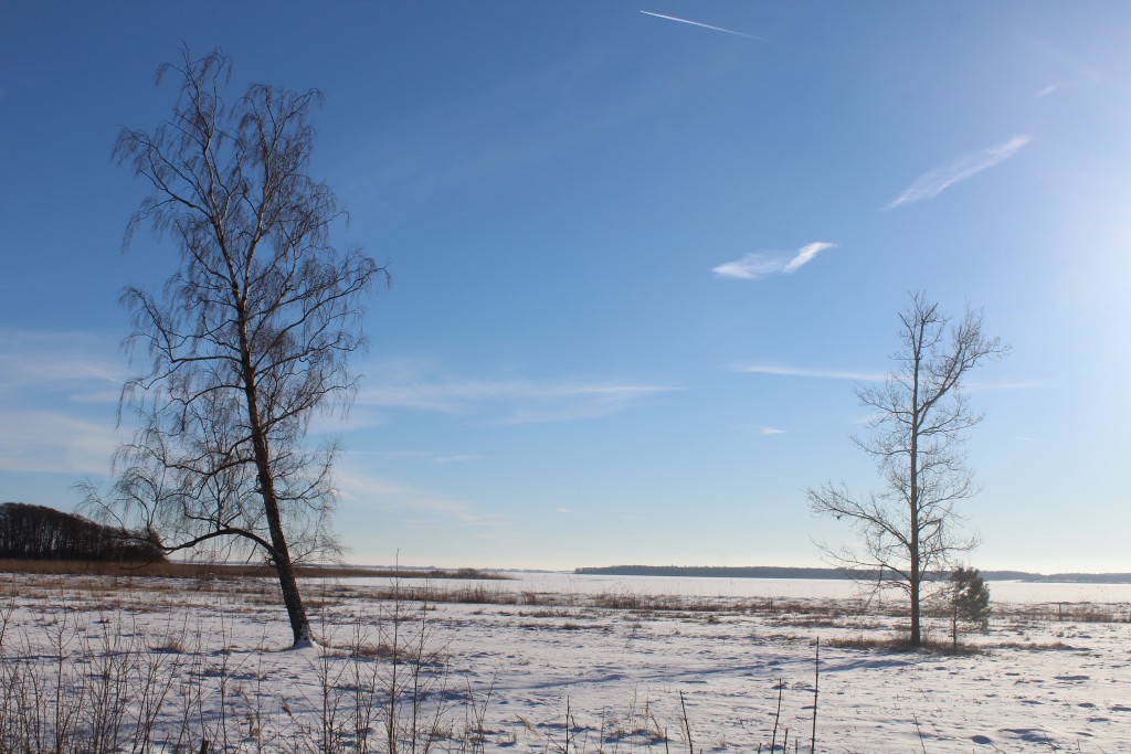 View to Arrsø from national principL road nr. 201