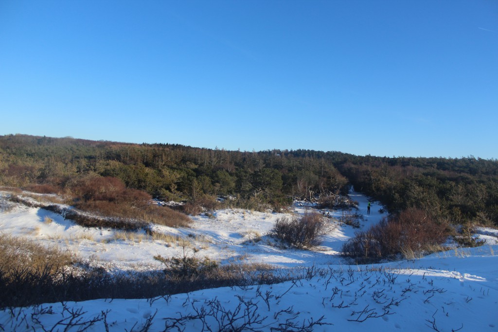 Troldeskoven", Tisvilde Hegn. View in direction south