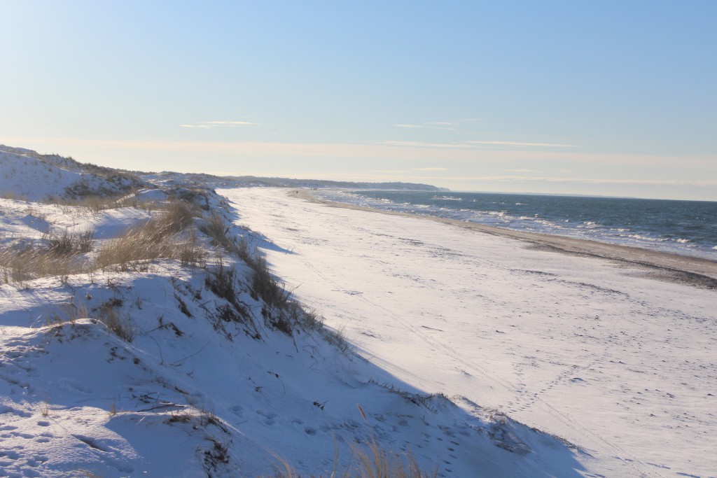 Kattegat Coast at "Troldeskoven" Beach, Tisvilde Hegn. View in direction west to Liseleje in horizon. Photo about 3 pm the 21. january 2016 by erik K Abrahamsen.