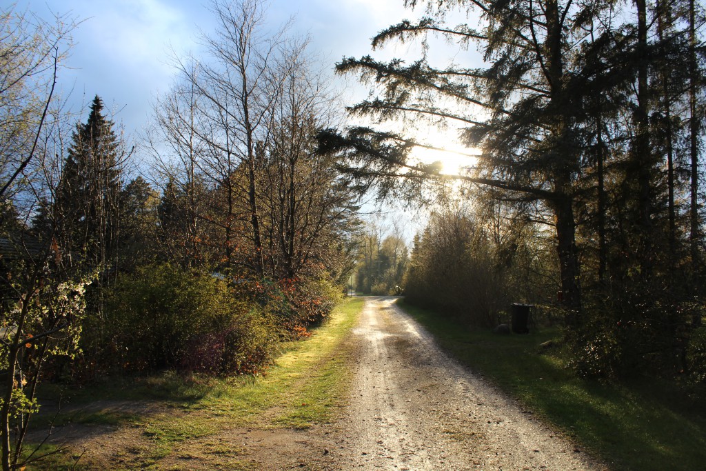 Melby, North Sealand, Denmark. At left: My entrance and my garden to ,y house 