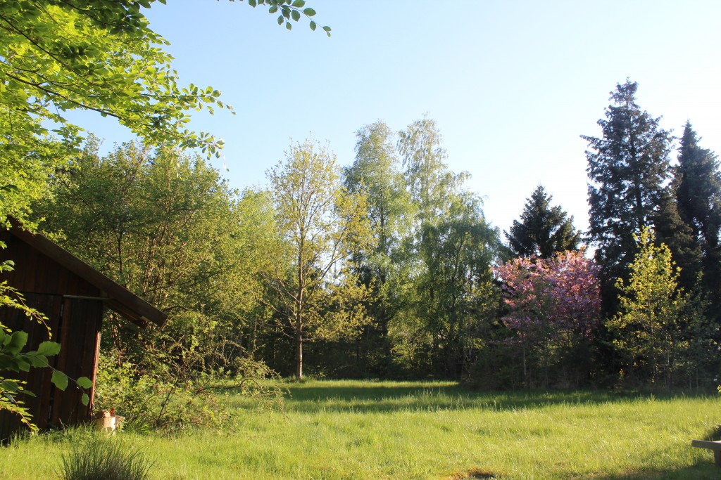 View to my garden 12. may 2016 at 7.30 PM. Photo by Erik K Abrahamsen