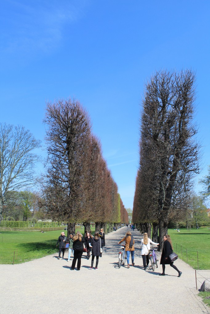 Kings Garden, View to statue at end of this Allé. Photo 2. may 2016