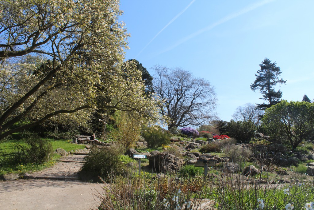 Stone Hill in Botanical Garden. Photo 7. may 2016 by e Erik K Abrahamsen.