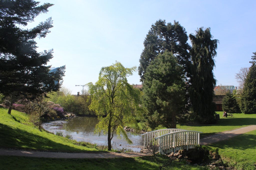 Aarhus Botanical Garden. Photo in direction south to Museum Old City and a scyescraber at left