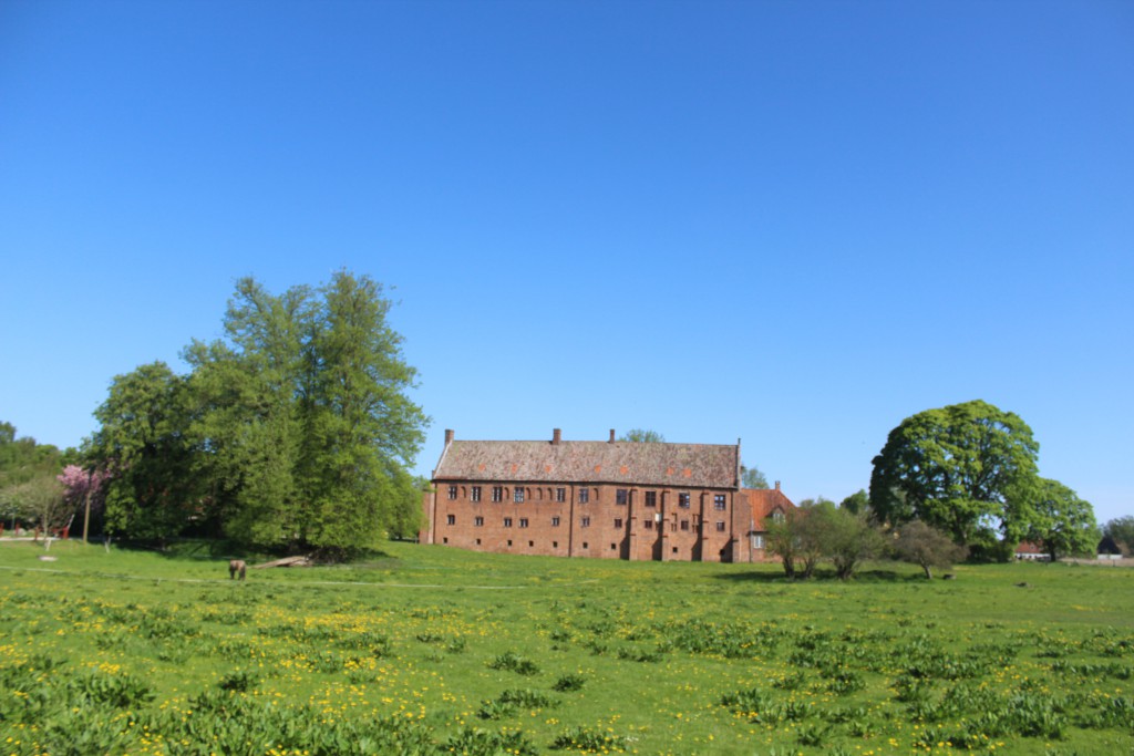 Esrum Monastrry. Original south wing of eastern monastery : Økonimogård". The western part of this win