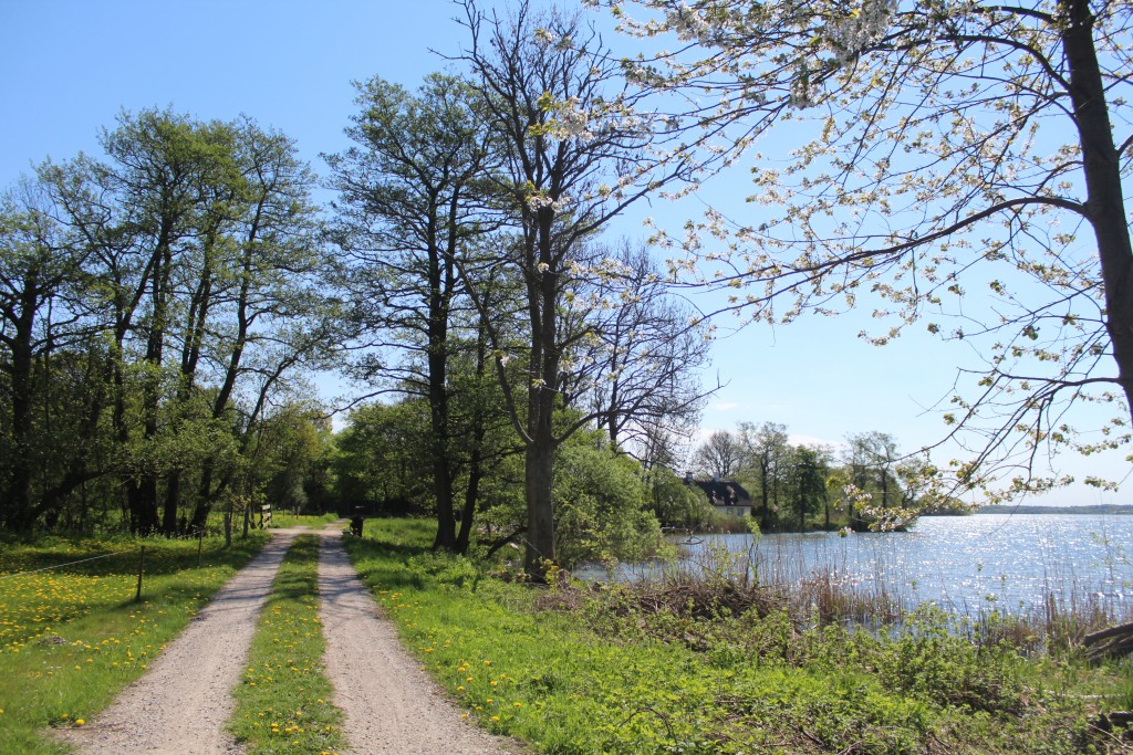 Esrum Lake. Smal eroad passes Esrum River Bridge at north side of Esrum Lake. View in direction eat to Sølyst