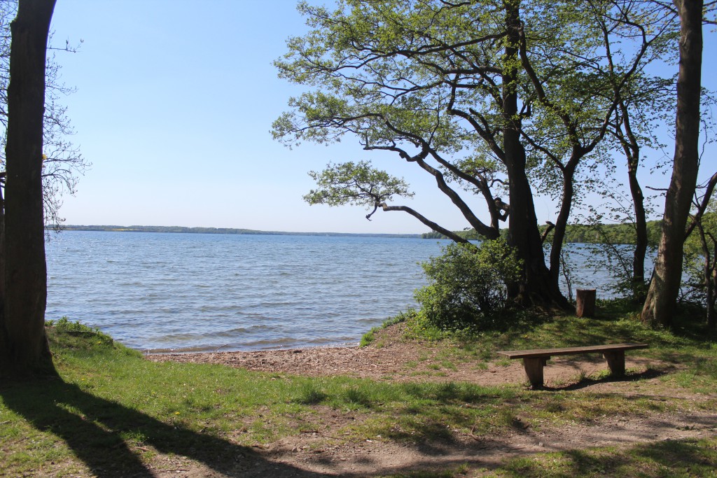 Esrum Lake aand Gribskov Forest. View in direction south-west to Esrum Lake. Photo 12. may 2016 b