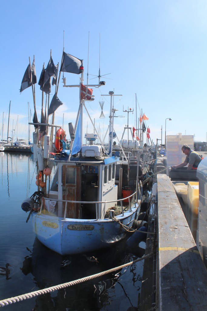 Fisherman cleans his fishing boat. Photo 2