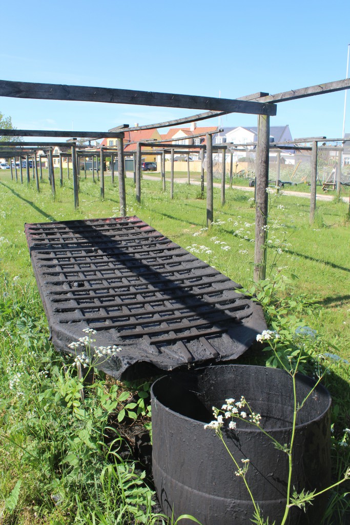 Wax trough - "Beg trug" on The Stake Area. Photo 27. may 2016 by Erik K Abrahams