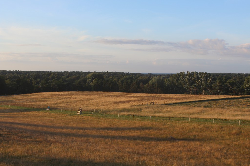 Seven High - Syv Høje, Melby. View in direction east to Kattegat Sea from burial mound. Photo 27. july 2016 by 