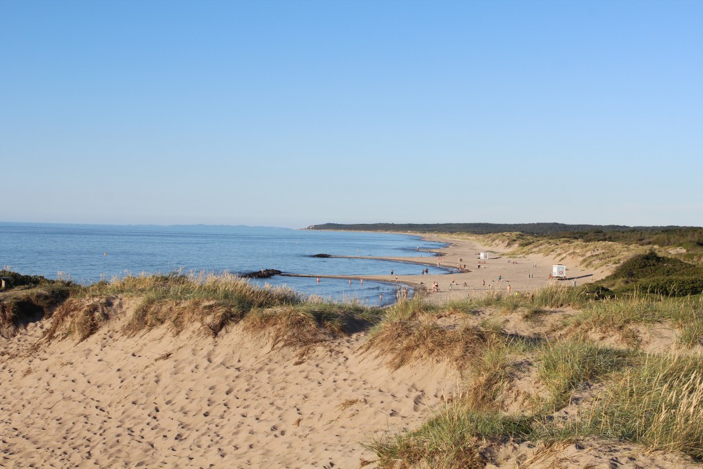 Liseleje Beach at Kattegat Sea. Photo in direction east to Tisvilde Hegbn, Tisvildele beach and cliff 