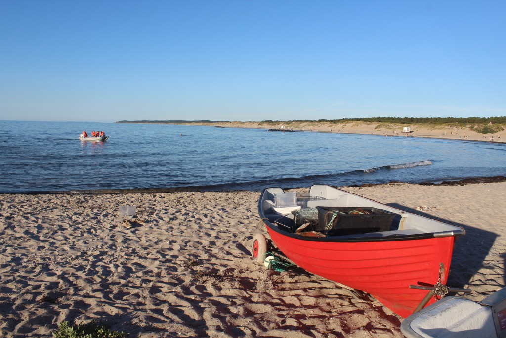 Liseleje Beach at Kattegat Coast. Photo in direction east to Tisvilde hegn 27. july 2016 at 