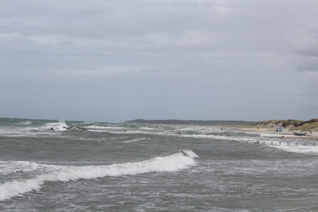 Liseleje beach, NorthSealand. View in direct east to Tisvilde Hegn. Photo 8. august 2016 by Erik K Abrahamsen.