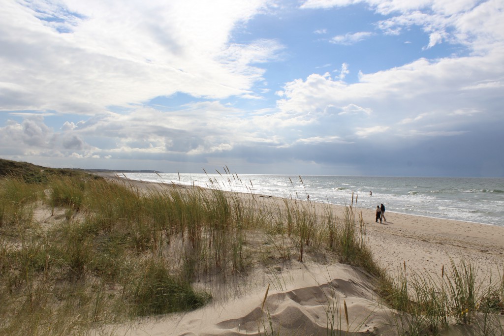 Tisvilde hegn at Troldeskoeb beach. Phoot in direction north/wset to Kattegat Sea 4