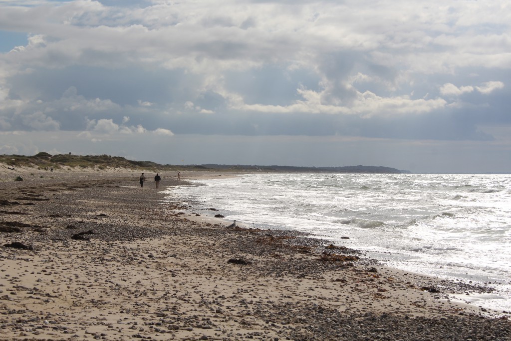 Staengehus beach at Tisvilde hegn. Photo in direction west to kattegat Sea and Liselej