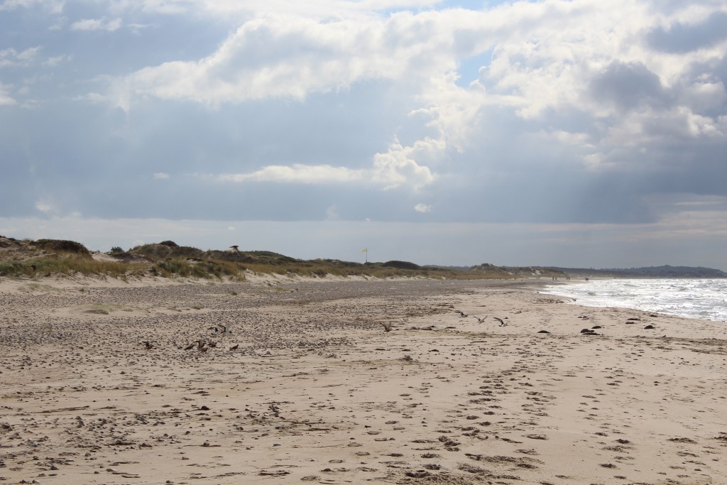 Tisvilde hegn at Kattegat Coast. Stængehus beach. Photo in directio