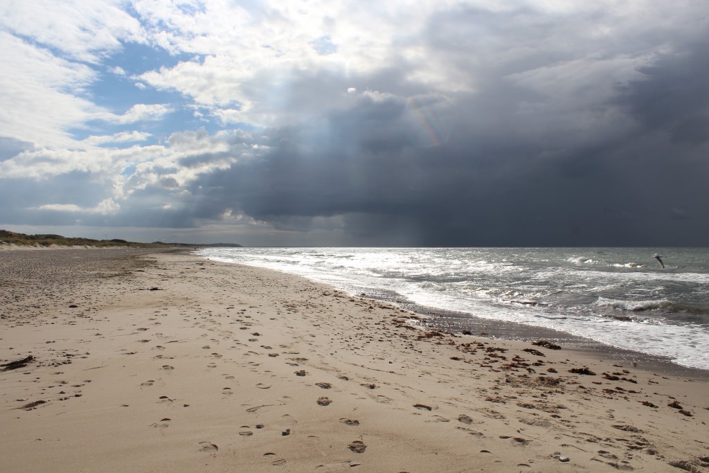 Tisvilde Hegn at Kattegat Coast. Stæmhgehus beach. Phoot 4.45 PM 14