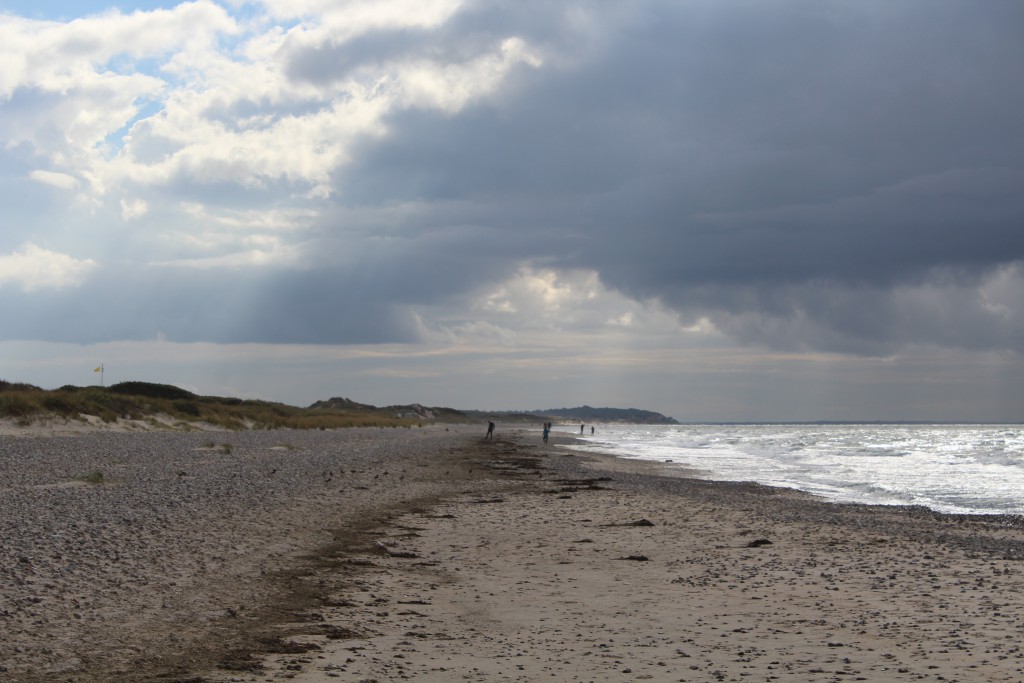 Tisvilde Hegh at Cattegat Coast, North Sealand, Denmark. Photo in d