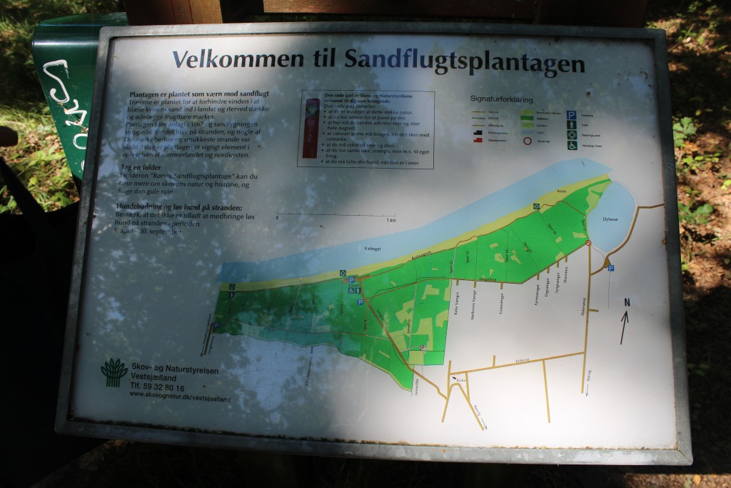 Plate of Rørvig Plantation. Photo 17. august 2016 by Erik K Abrahamsen.
