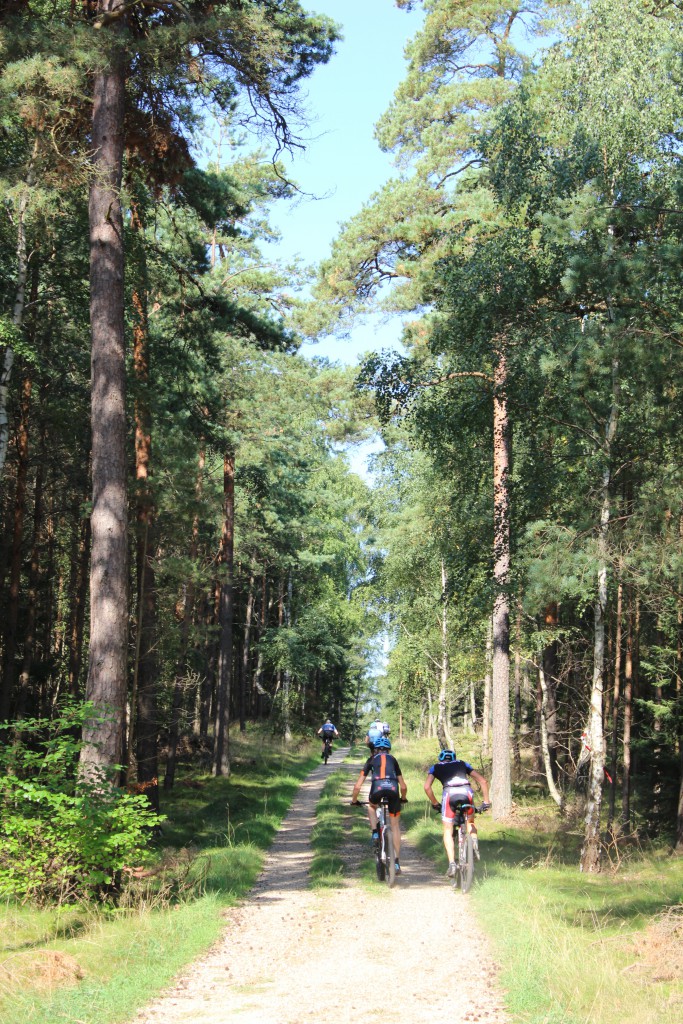Hotcup 2016. Mountainbike rytter på vej ad Skovkærsvej i retning øst. Foto 10. september 2016 af Erik K Abrahamsen.
