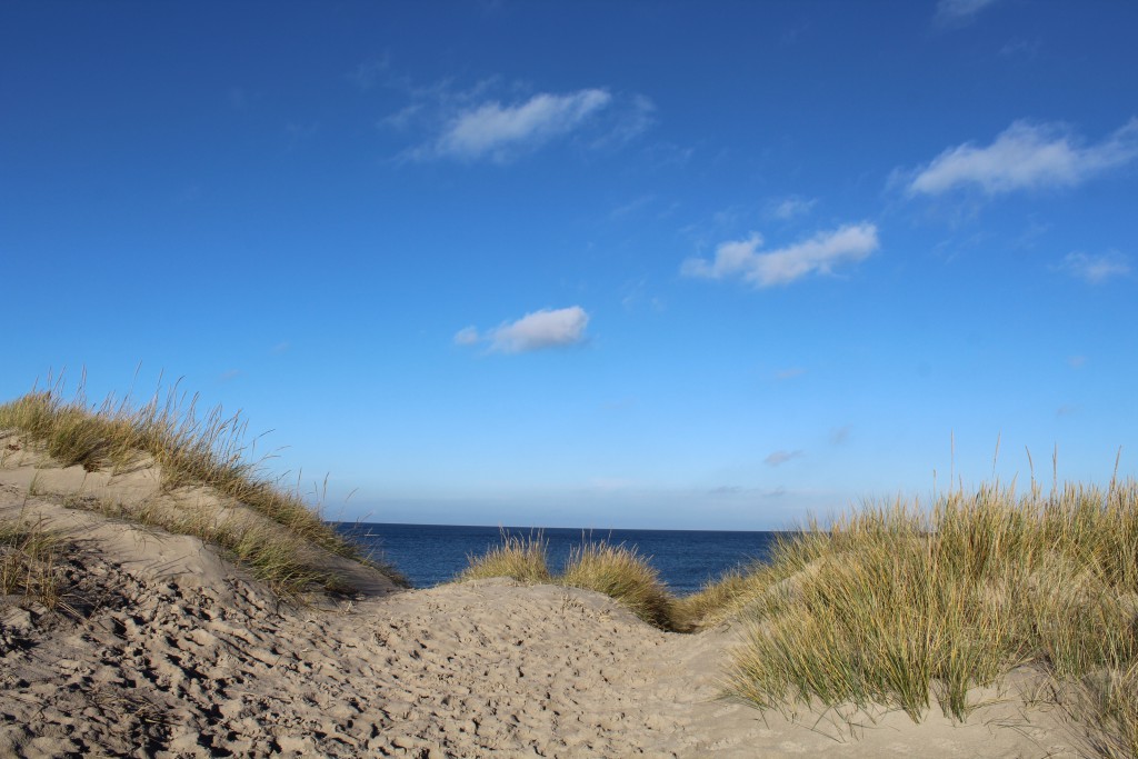 Melby Overdrev. Udsigt mod nord til Kattegat fra klitter. Foto den 19. november 2016 af Erik K Abrahamsen.