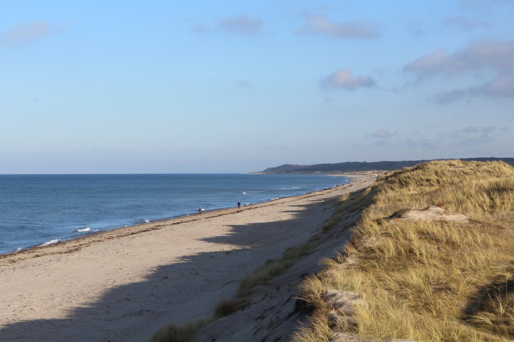 Melby Overdrev. Udsigt ud over Kattegat mod vest mod Asserbo Plantage, Tisvilde H