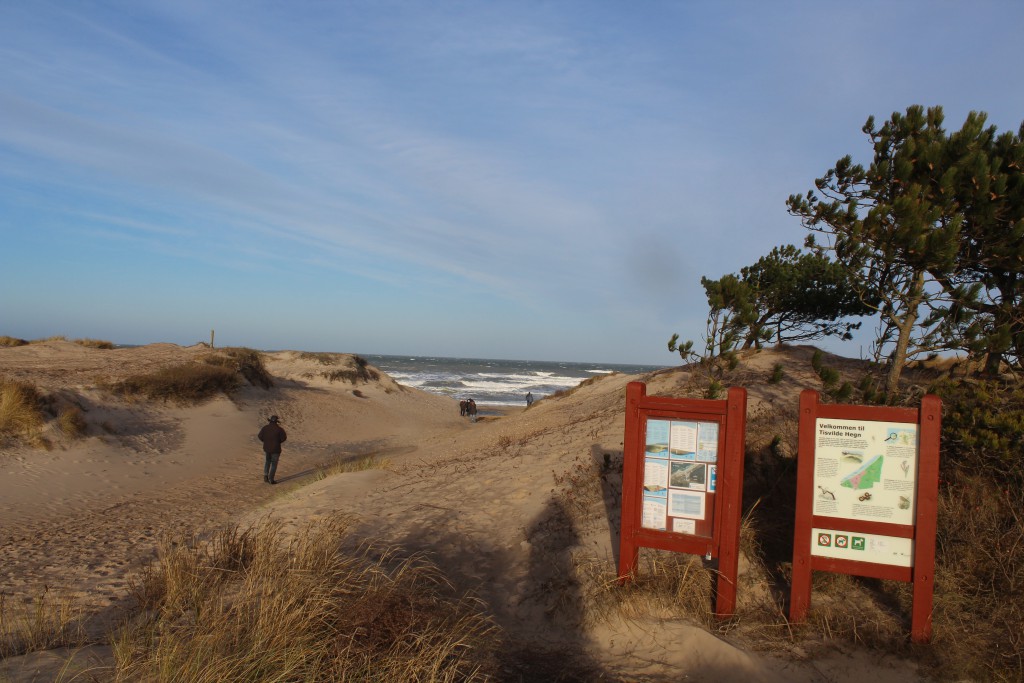 Adgangsvej til Liseleje Strand. udsigt mod nord til Kattegat. Foto den 27. december 2016 af Erik K Abrahamsen.