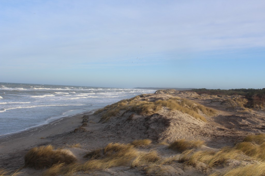 Liseleje Strand. Udsigt mod øst mod melby Overdrev, Asserbo Plantage, Tisvilde Hegn og Tisvildeleje helt ude i horisonten. Foto den 27. december 2016 af Erik K Abrahamsen.