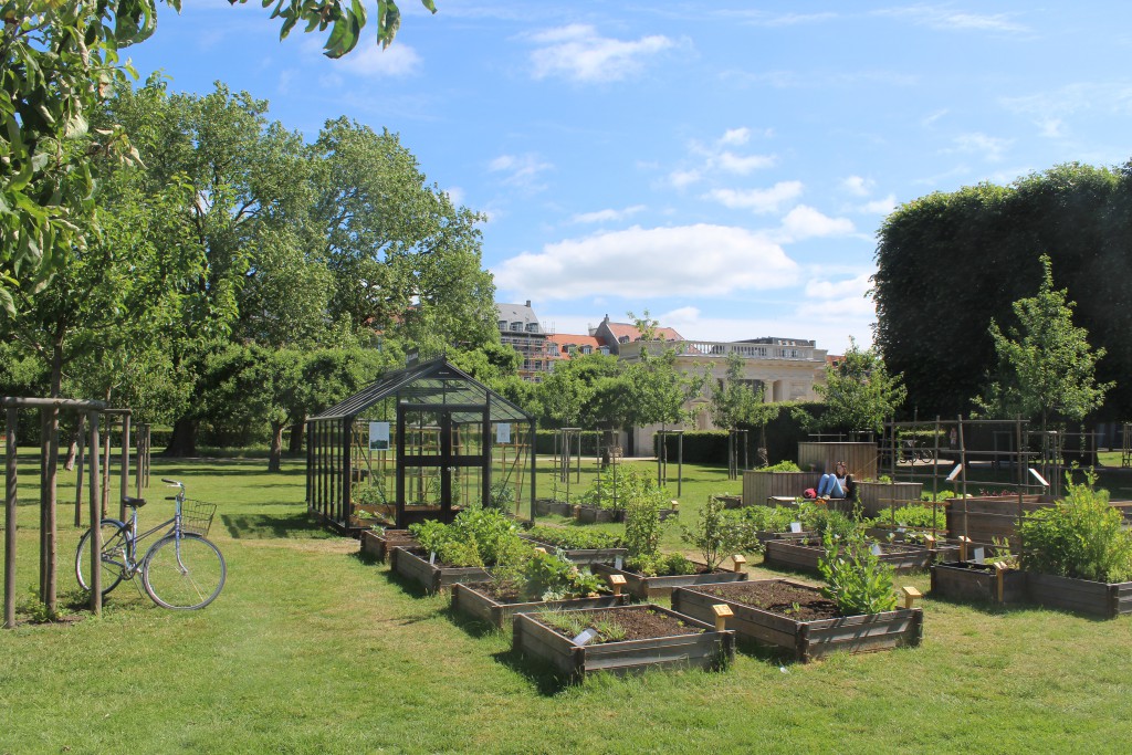 Kings Garden, Copenhagen City - relaxarin in midday with a good book. Photo 6. june 2016 by Erik K Abrahamsen.