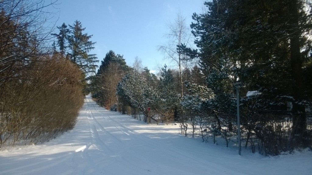 Foto 16 Vinter 2017 Bjarkesv