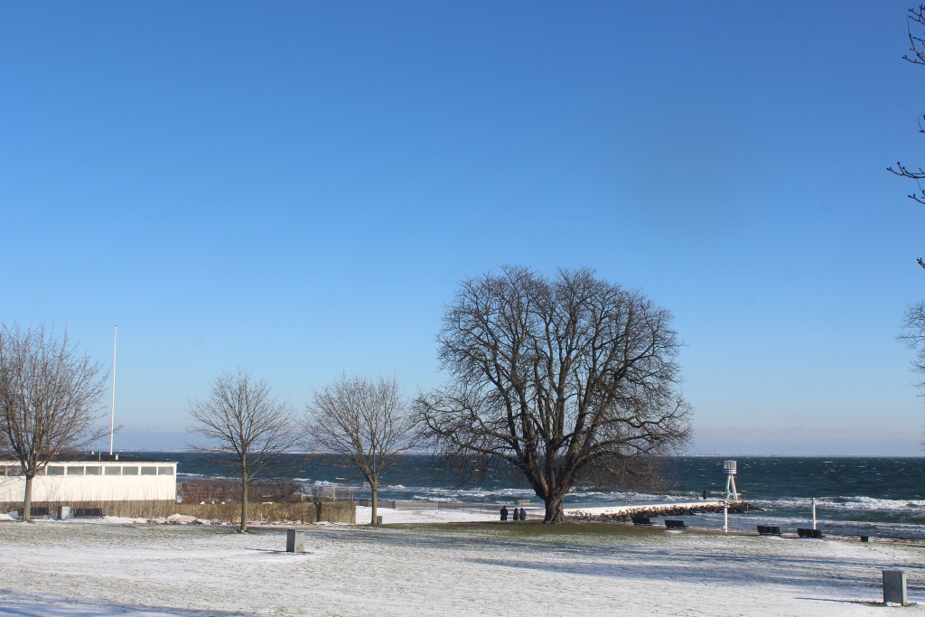 Bellevue Beach Parh designed by architect Arne 